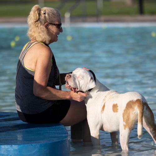 Dora Stark and Chance