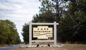 A beige, wood sign the reads Cape Henlopen State Park in the grass with pine trees in the background. The park will host a Community Workshop July 31, 2024.