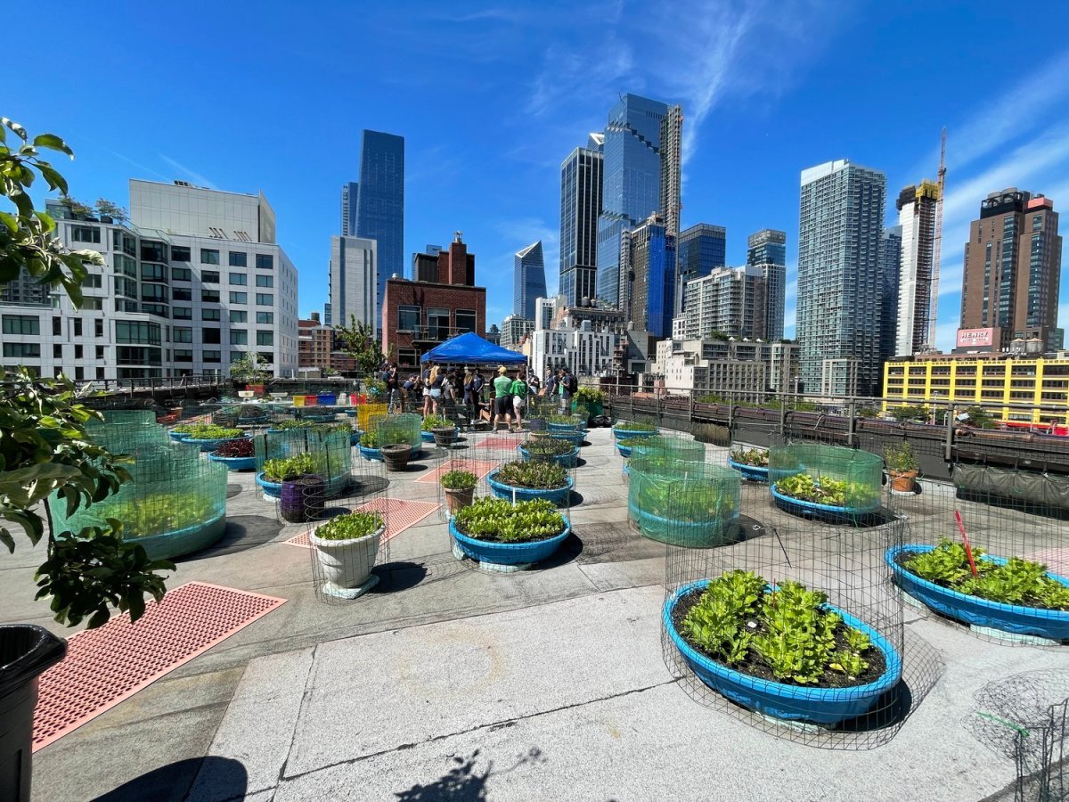 Rauschenbusch Metro Rooftop Farm