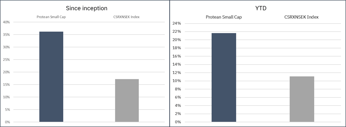Protean Small Cap performance