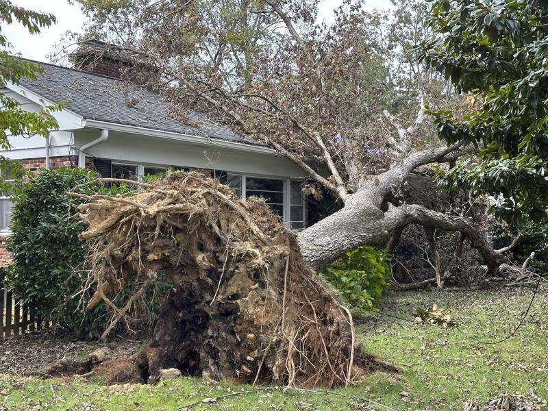 A tree downed by Hurricane Helene rests on a house Oct. 4 in  Asheville, N.C. (Jeff Amy/Associated Press) 