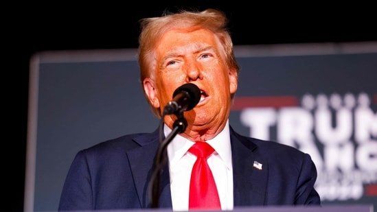 Donald Trump has vowed a 10 percent to 20 percent across-the-board tariff on imports and a 60 percent rate on Chinese goods -- more recently threatening a 200 percent levy on automobiles made in Mexico.(Getty Images via AFP)