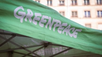 Greenpeace a été condamnée à verser plus de 665 millions de dollars (environ 610 millions d'euros) à l'exploitant d'un oléoduc, le groupe américain Energy Transfer, le 19 mars 2025. (ELSA BIYICK / HANS LUCAS / AFP)