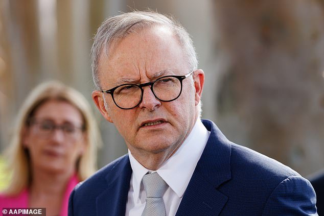 Anthony Albanese's (pictured) pledge in 2022 that Labort would deliver a $275 cut to power bills under its climate plan has failed to eventuate