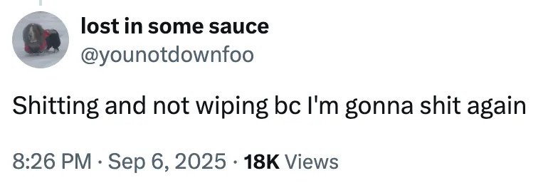 Social media post by user "lost in some sauce" stating they won't wipe because they expect to use the bathroom again