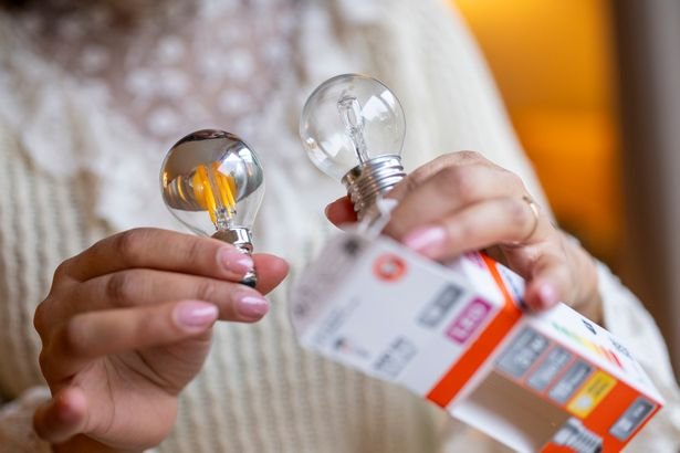 Woman inspecting LED bulbs 