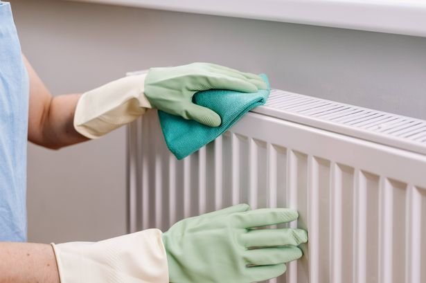 Woman cleaning radiator