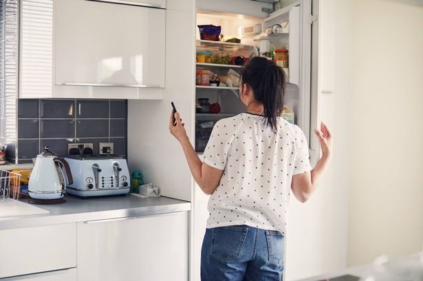 Woman looking in the fridge whilst using smartphone to do her food shopping online