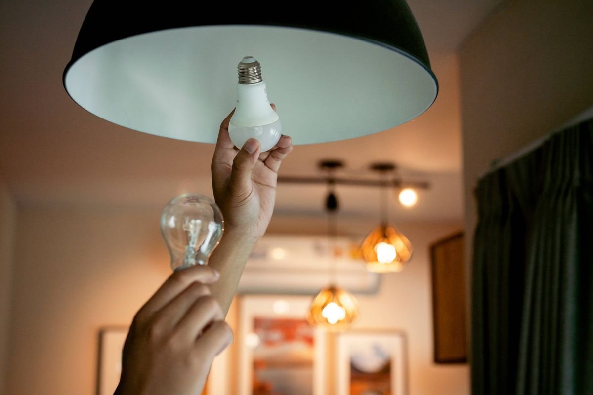 comparing regular and energy-saving lightbulb