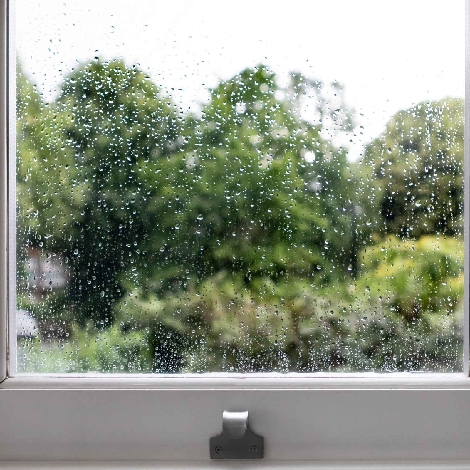 Rain on a window pane, that you can see an established garden through