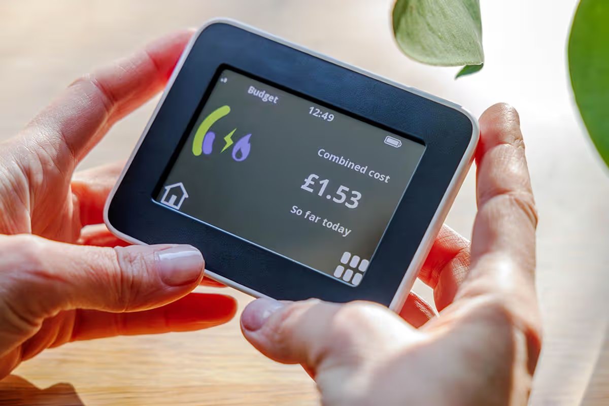 A person checks their smart meter