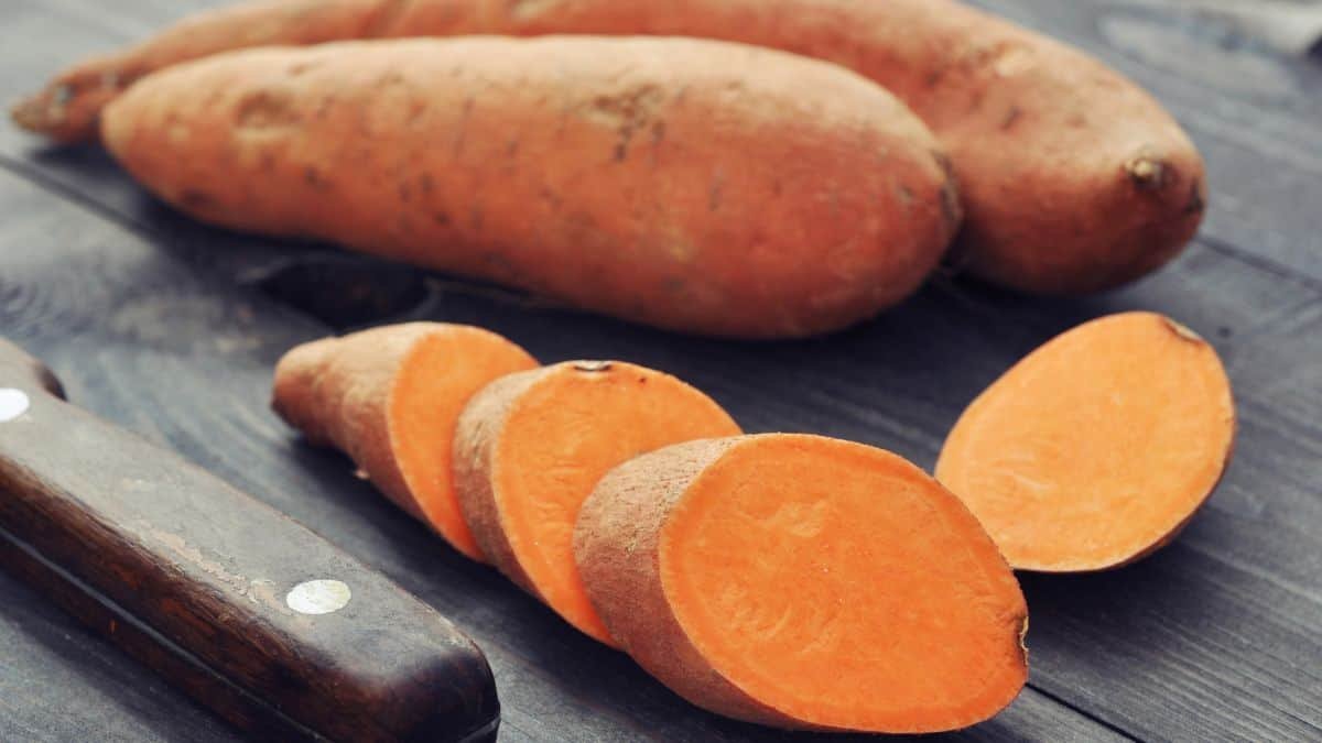 sweet potato