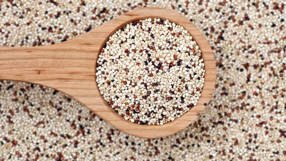 quinoa seeds