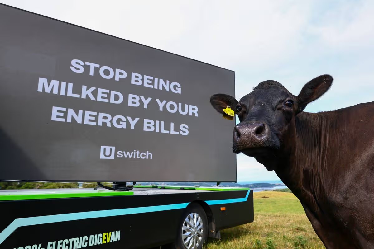 Uswitch electric van passes by field of cows warning households to switch to fixed tariff before the energy price cap increase 1st July