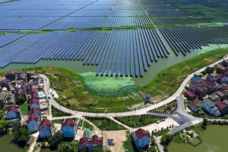 Largest Single-unit Affordable 260MW FISHER-Solar Hybrid Project PV Power Station in East China